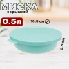 Миска с крышкой "ТЭСТИ" 0,5 л (Морская волна)
