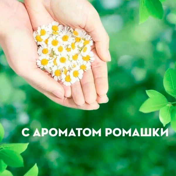 Женские гигиенические прокладки "NATURELLA" Classic Camomile Maxi с крылышками (7 шт)