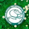 Женские гигиенические прокладки "NATURELLA" Classic Camomile Maxi с крылышками (7 шт)