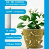 Цветочный горшок "ALY-103" 2.50 л